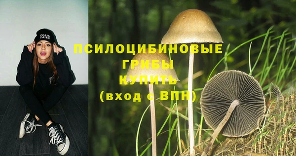 мдпв Артём