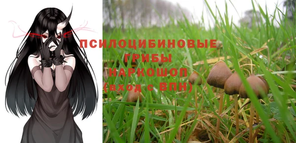ГАЛЛЮЦИНОГЕННЫЕ ГРИБЫ Куйбышев