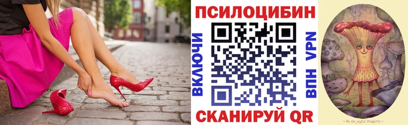 магазин продажи   Пласт  omg ссылка  Псилоцибиновые грибы мицелий 